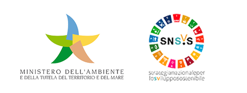 ministero_snsvs_group